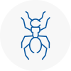 Ant Removals In Looe