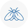 Moth Control Specialists In Looe